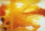 Sem T�tulo - 80x120 - tm